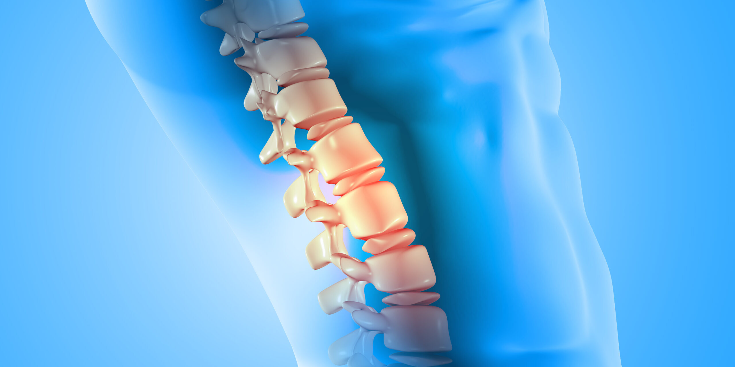 3D male medical figure with spine highlighted